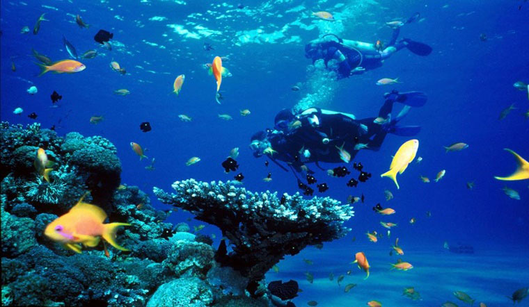 vien-hai-duong-hoc-nha-trang.jpg
