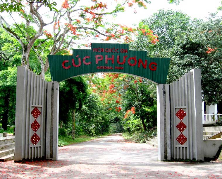vuon-quoc-gia-cuc-phuong.jpg